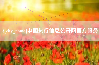 府谷中国执行信息公开网官方服务