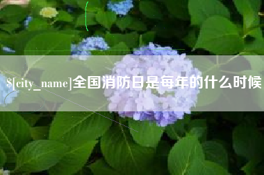 府谷全国消防日是每年的什么时候
