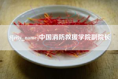 府谷中国消防救援学院副院长