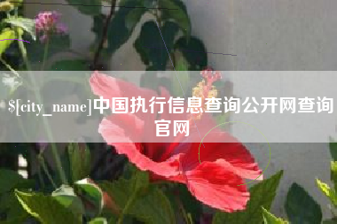 府谷中国执行信息查询公开网查询官网