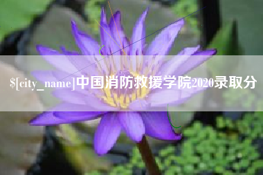 府谷中国消防救援学院2020录取分