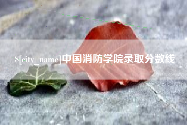 府谷中国消防学院录取分数线