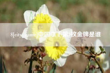 府谷中国拿下第9枚金牌是谁