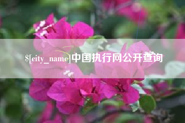 府谷中国执行网公开查询