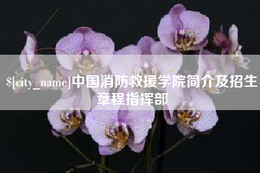 府谷中国消防救援学院简介及招生章程指挥部