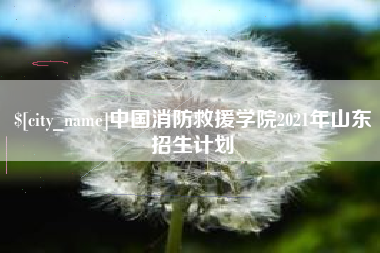 府谷中国消防救援学院2021年山东招生计划