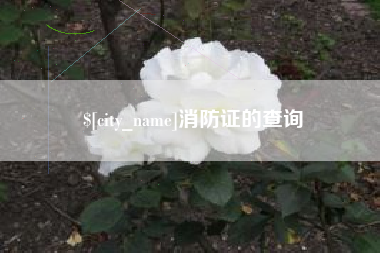 府谷消防证的查询
