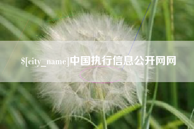 府谷中国执行信息公开网网