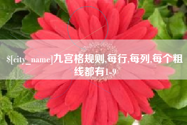府谷九宫格规则,每行,每列,每个粗线都有1-9