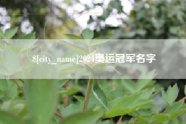 府谷2024奥运冠军名字