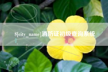 府谷消防证初级查询系统