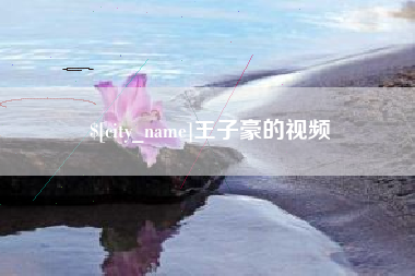 府谷王子豪的视频