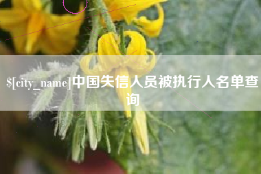 府谷中国失信人员被执行人名单查询