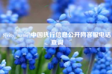 府谷中国执行信息公开网客服电话查询