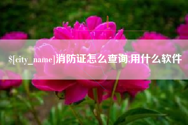 府谷消防证怎么查询,用什么软件