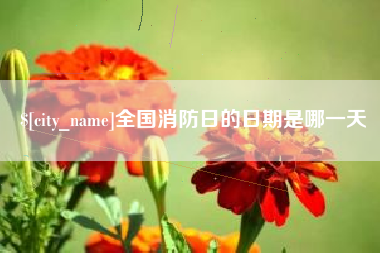 府谷全国消防日的日期是哪一天