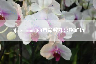 府谷西方命数九宫格解析