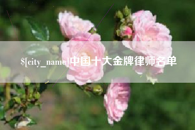府谷中国十大金牌律师名单