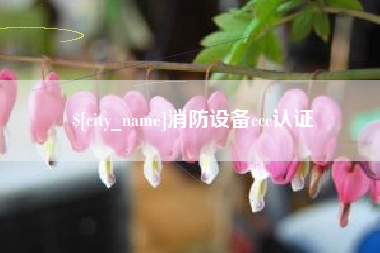 府谷消防设备ccc认证