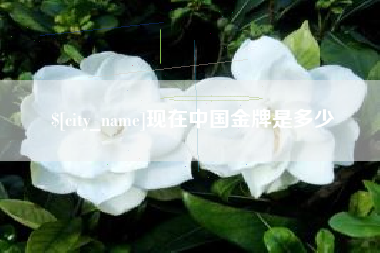 府谷现在中国金牌是多少