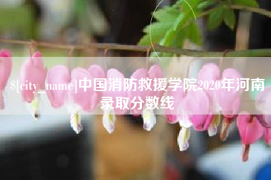 府谷中国消防救援学院2020年河南录取分数线