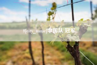府谷中国队 冠军