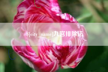 府谷九宫排除法