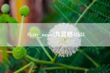 府谷九宫格42633