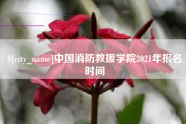 府谷中国消防救援学院2021年报名时间