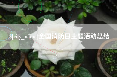府谷全国消防日主题活动总结