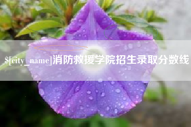 府谷消防救援学院招生录取分数线