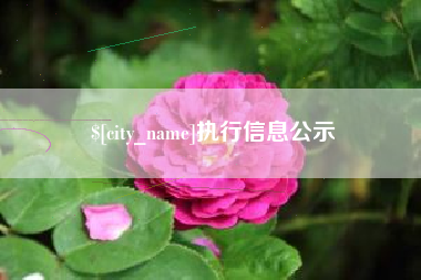 府谷执行信息公示