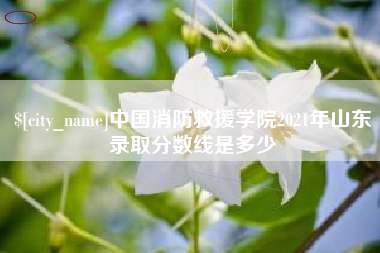 府谷中国消防救援学院2021年山东录取分数线是多少