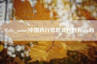 府谷中国执行信息公开网有app吗