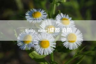 府谷成都 消防