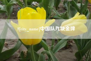 府谷中国队九块金牌
