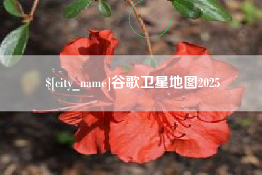 府谷谷歌卫星地图2025