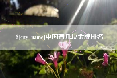 府谷中国有几块金牌排名