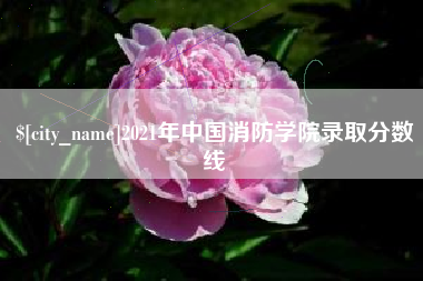 府谷2021年中国消防学院录取分数线