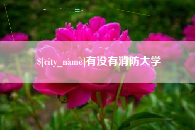 府谷有没有消防大学