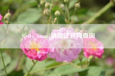 府谷消控证官网查询