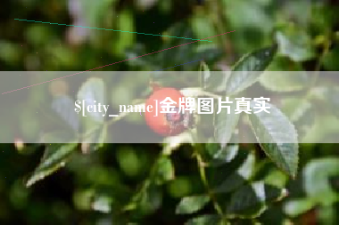 府谷金牌图片真实