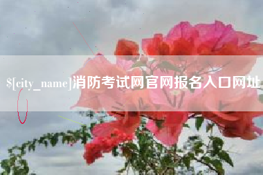 府谷消防考试网官网报名入口网址