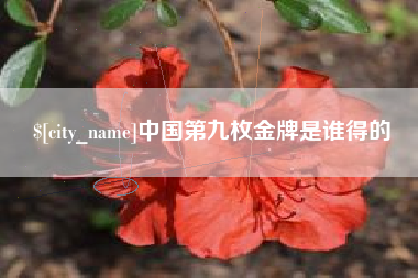 府谷中国第九枚金牌是谁得的