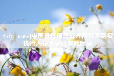 府谷中国执行信息公开网查不到被执行人是不是已解除限高