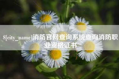 府谷消防官网查询系统查询消防职业资格证书