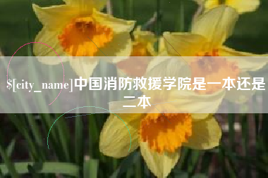 府谷中国消防救援学院是一本还是二本