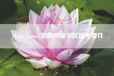 府谷消防救援学院报考条件