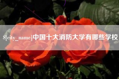府谷中国十大消防大学有哪些学校