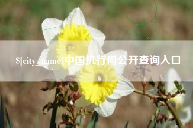 府谷中国执行网公开查询入口